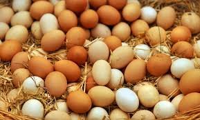 Poultry Eggs
